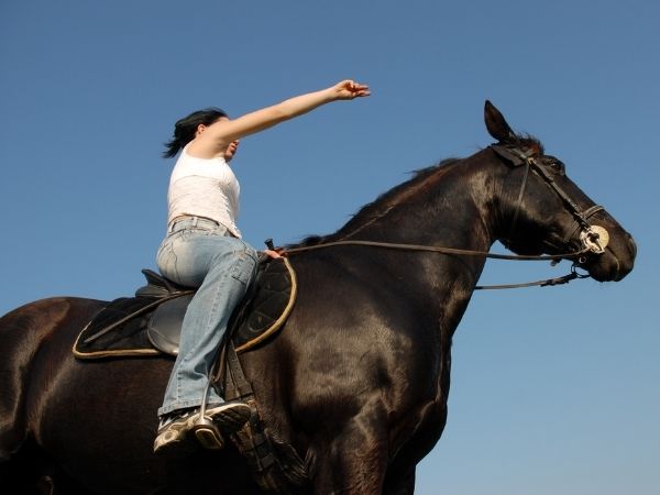 benefits of equine therapy addiction