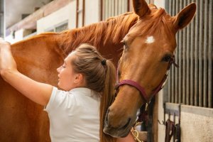 equine therapy at addiction campuses